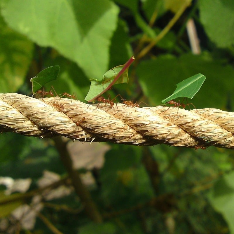 Beyond solutions, we build trust. Beyond today, we build the future.